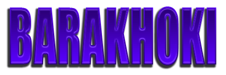 BARAKHOKI logo